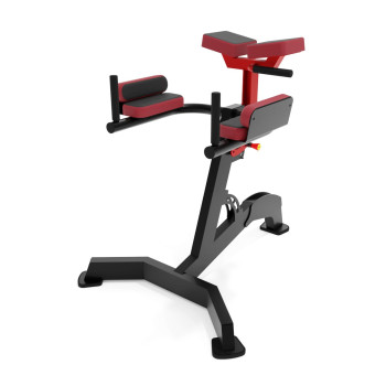 Зворотня гіперекстензія BL127