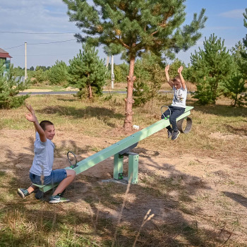 Гойдалка-балансир Еліт KIDIGO